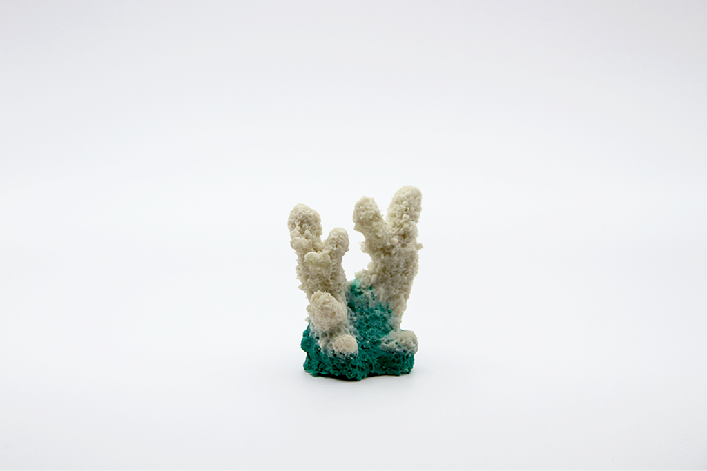 Artificial Acropora Humilis