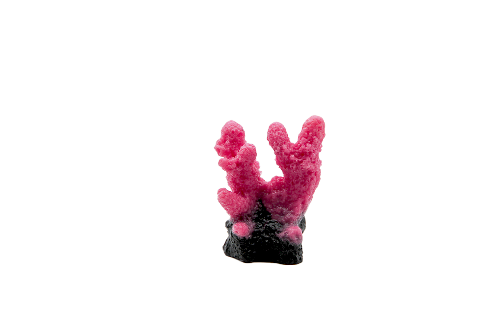Artificial Acropora Humilis