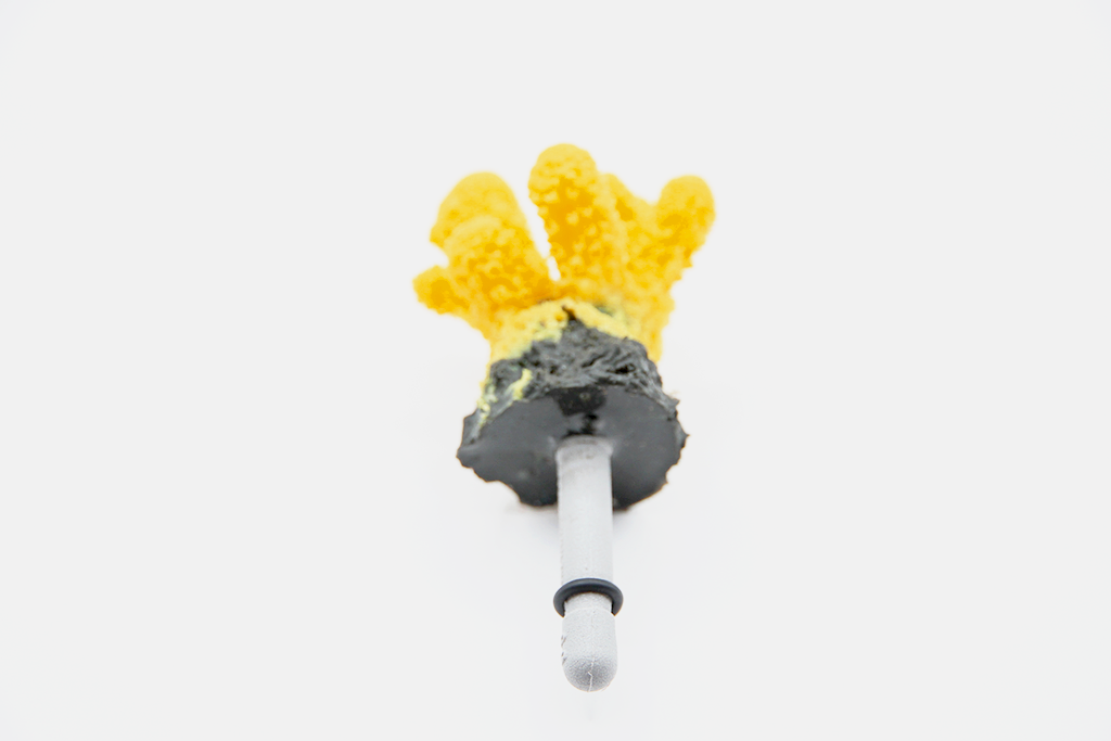 Artificial Acropora Humlis