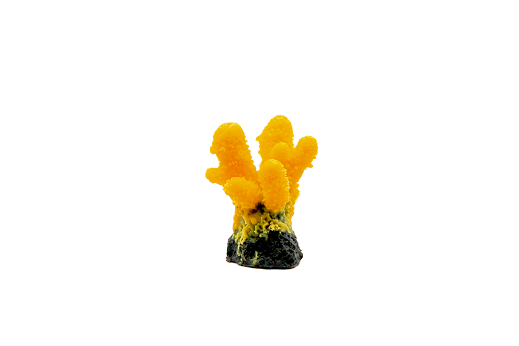 Artificial Acropora Humlis