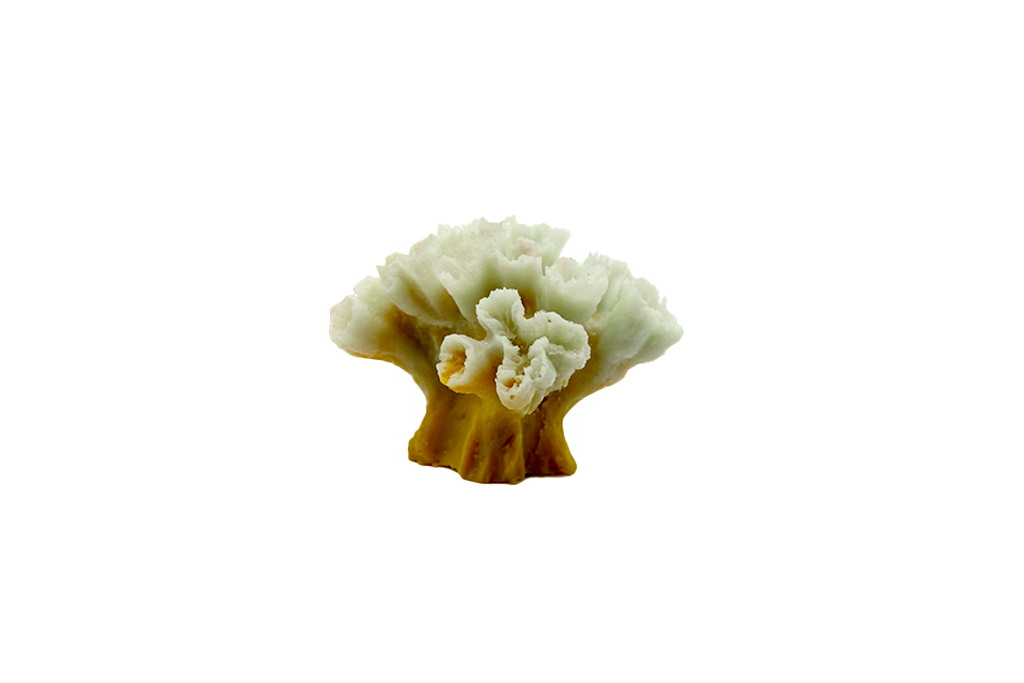 Artificial Diplaria