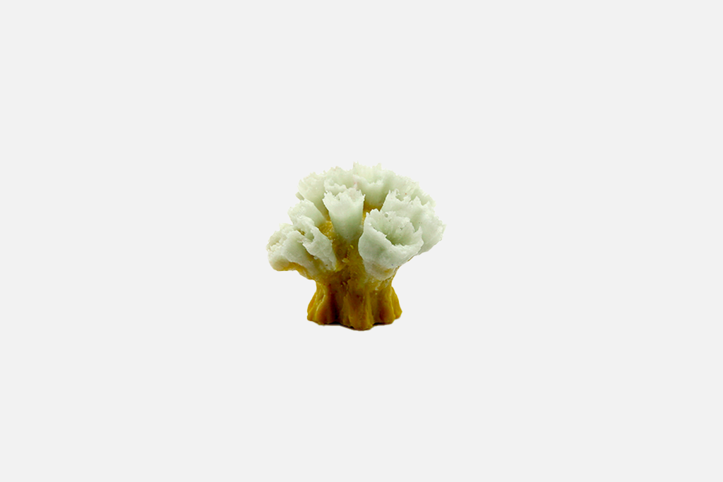 Artificial Diplaria