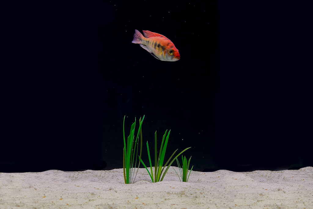 Artificial eelgrass