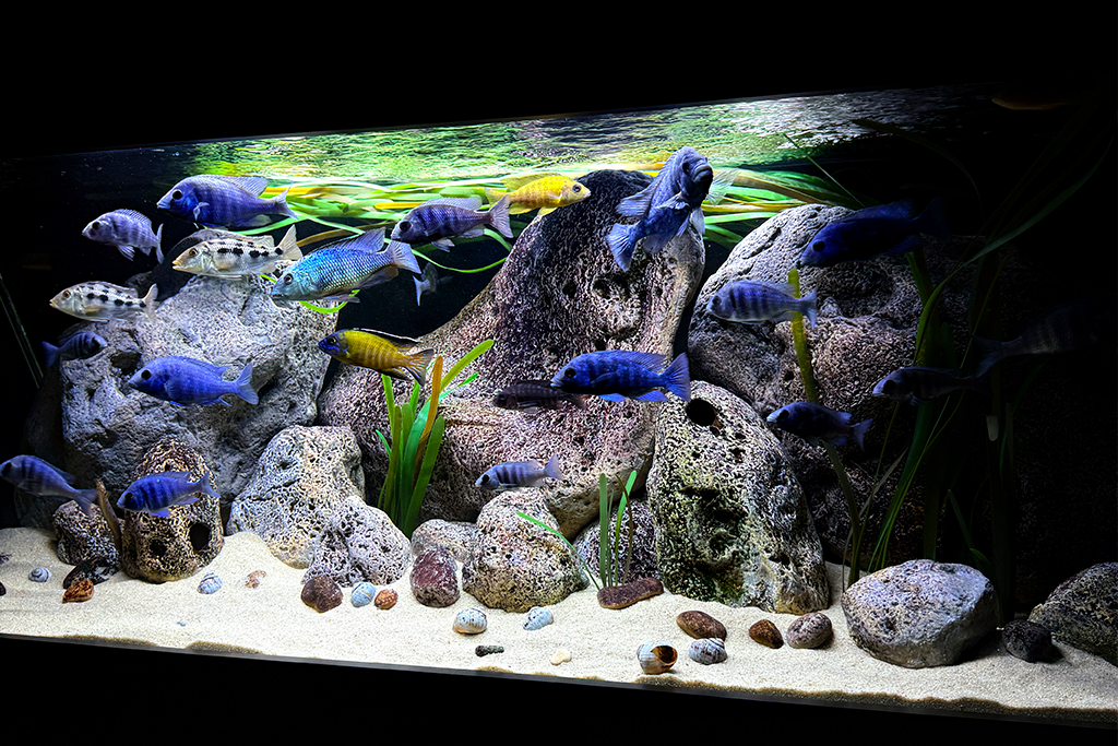 Artificial vallisneria small mix