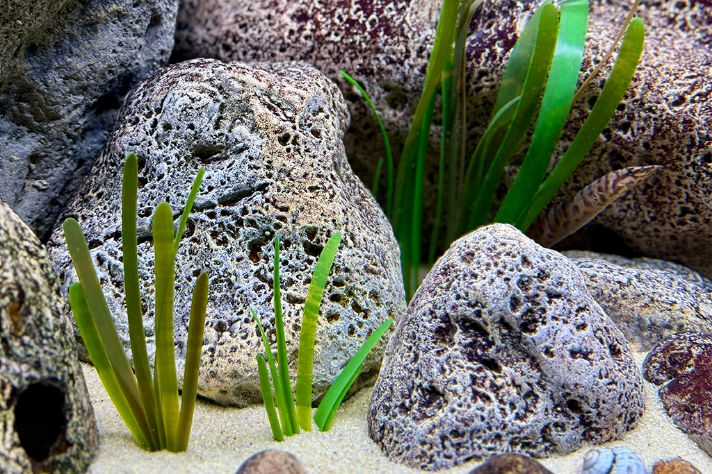 Artificial vallisneria small mix