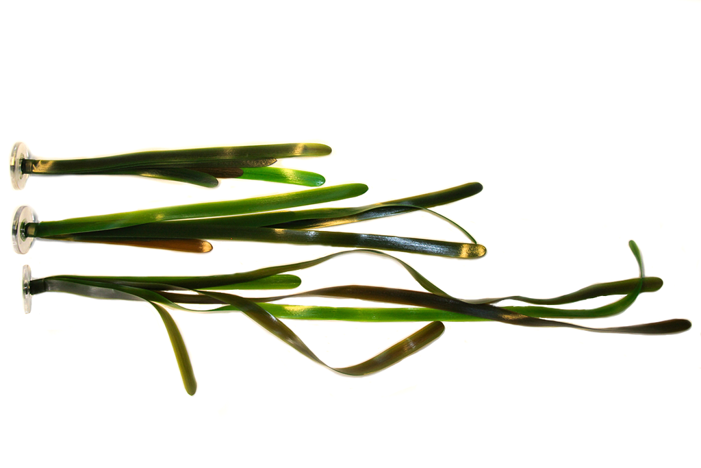 Artificial Vallisneria Gigantea