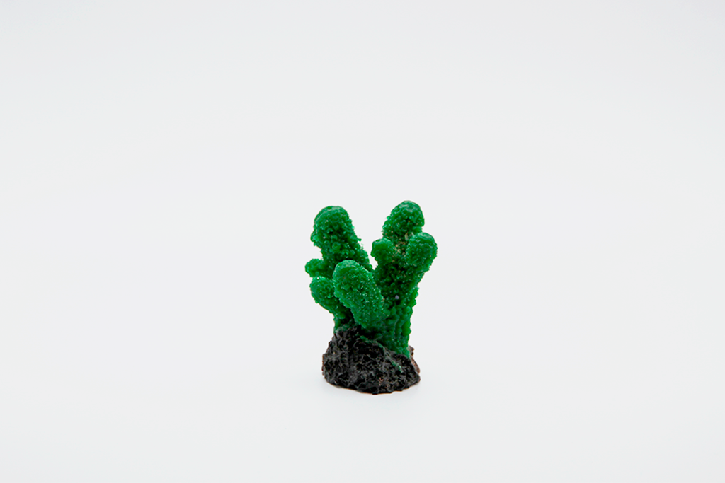 Artificial Acropora Humlis