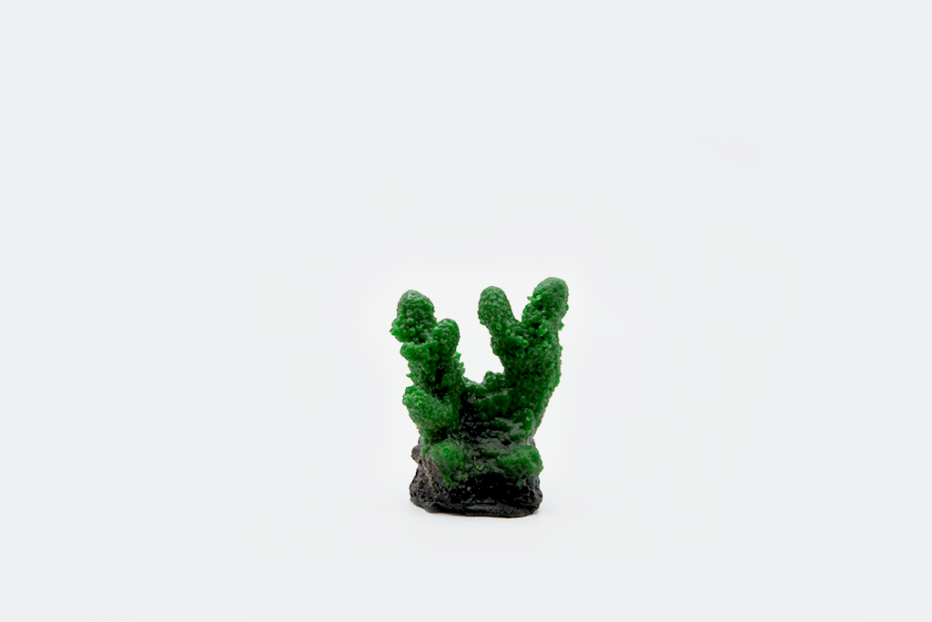 Artificial Acropora Humilis
