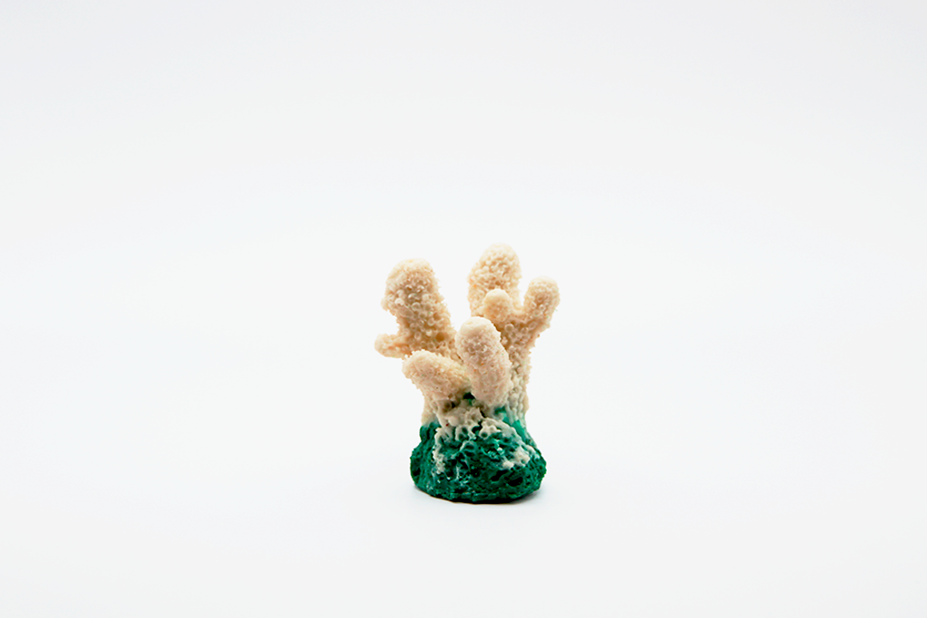 Artificial Acropora Humlis