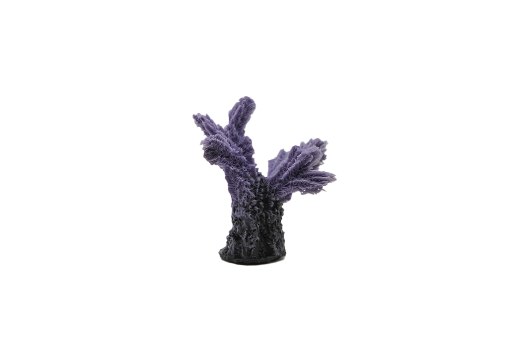 Artificial Hydnopora