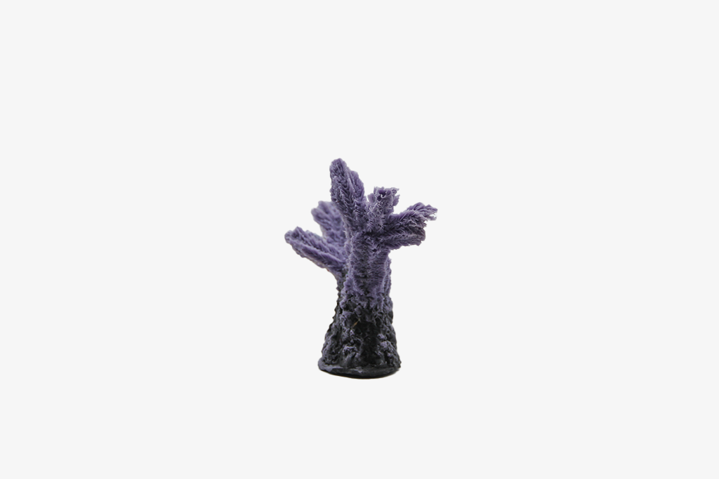 Artificial Hydnopora
