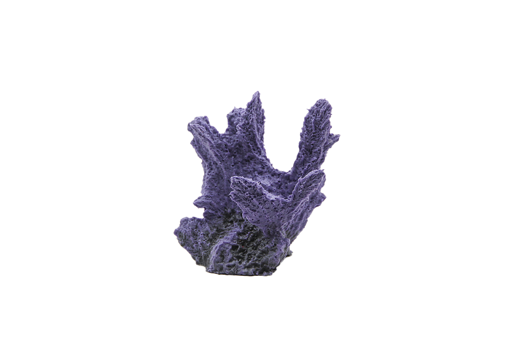 Artificial Hydnopora
