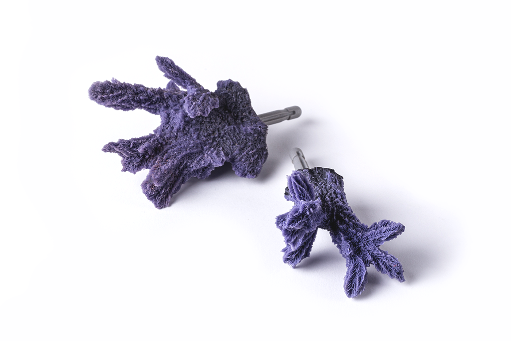 Artificial Hydnopora