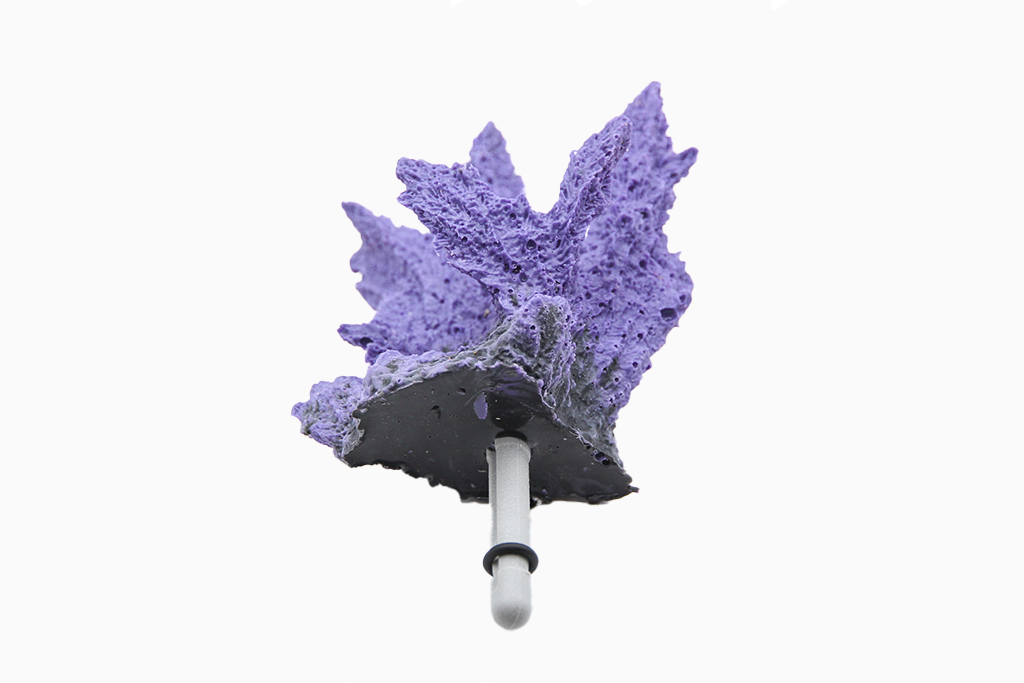 Artificial Hydnopora