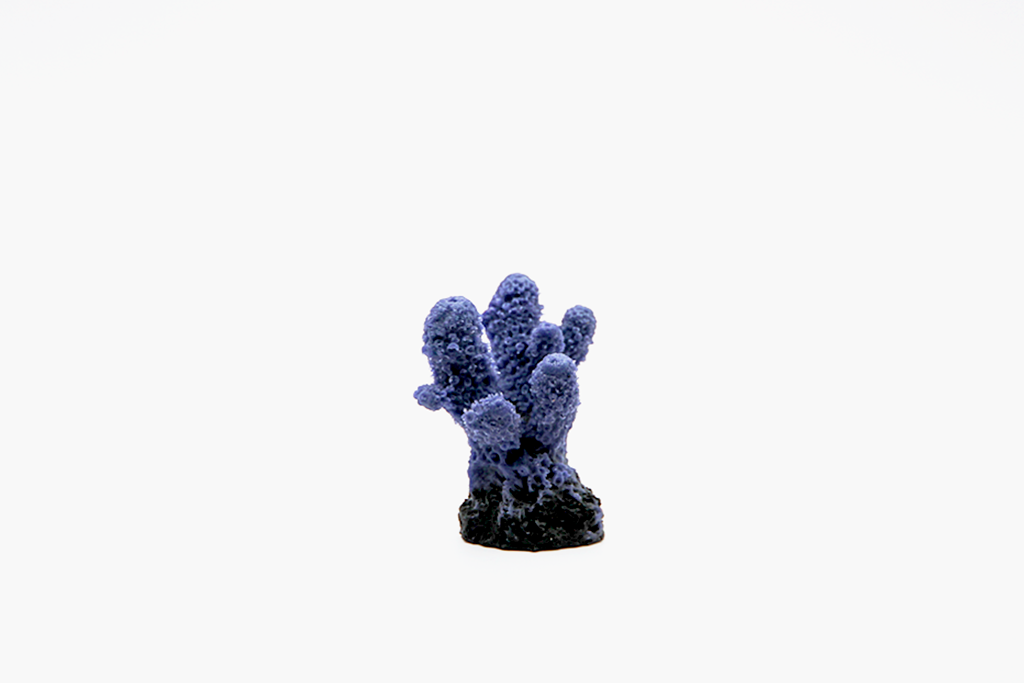 Artificial Acropora Humlis