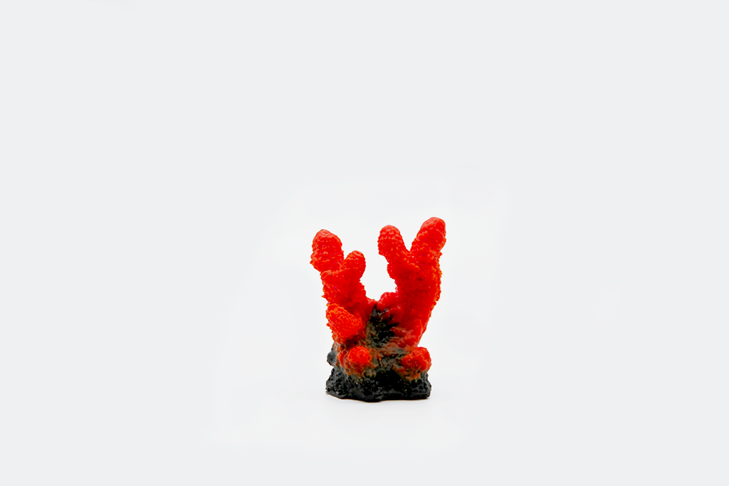 Artificial Acropora Humilis