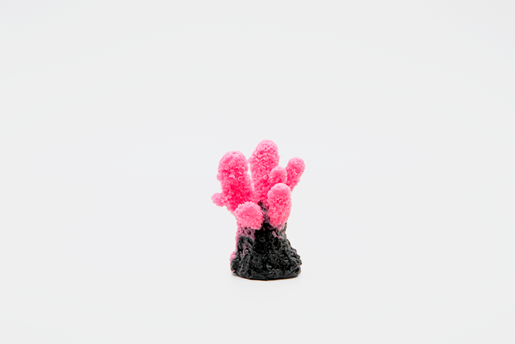 Artificial Acropora Humlis