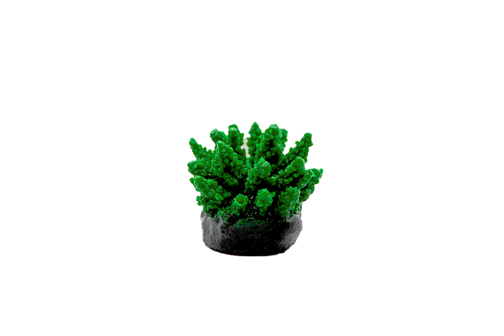 Artificial Acropora Polystroma