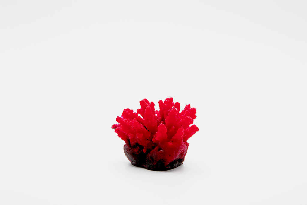 Artificial Acropora Polystroma