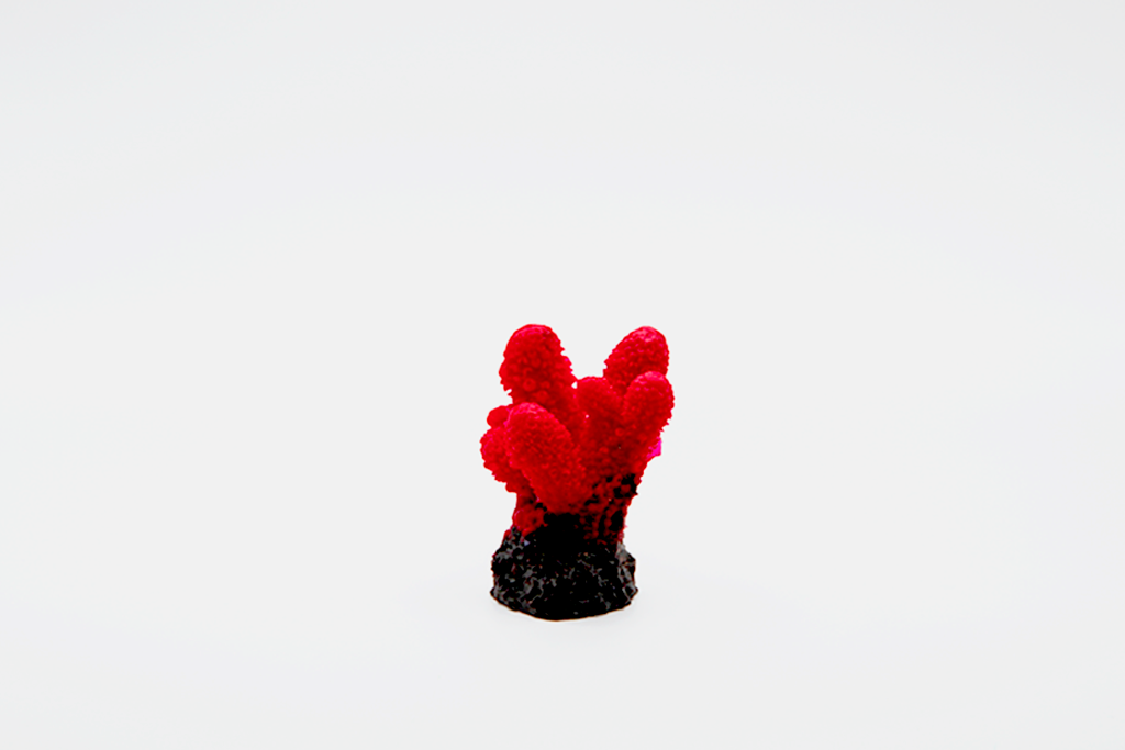 Artificial Acropora Humlis
