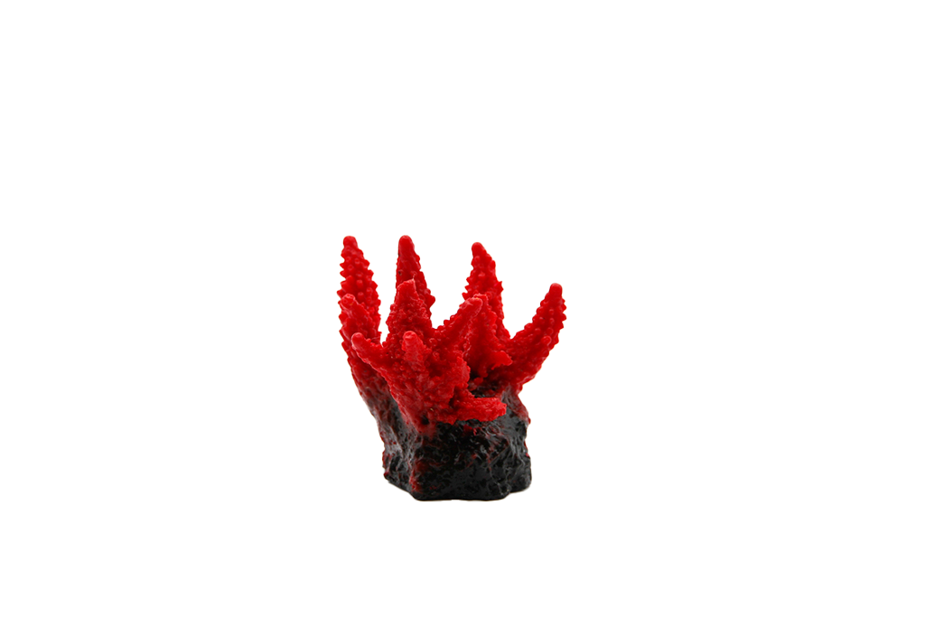 Artificial Acropora Secale