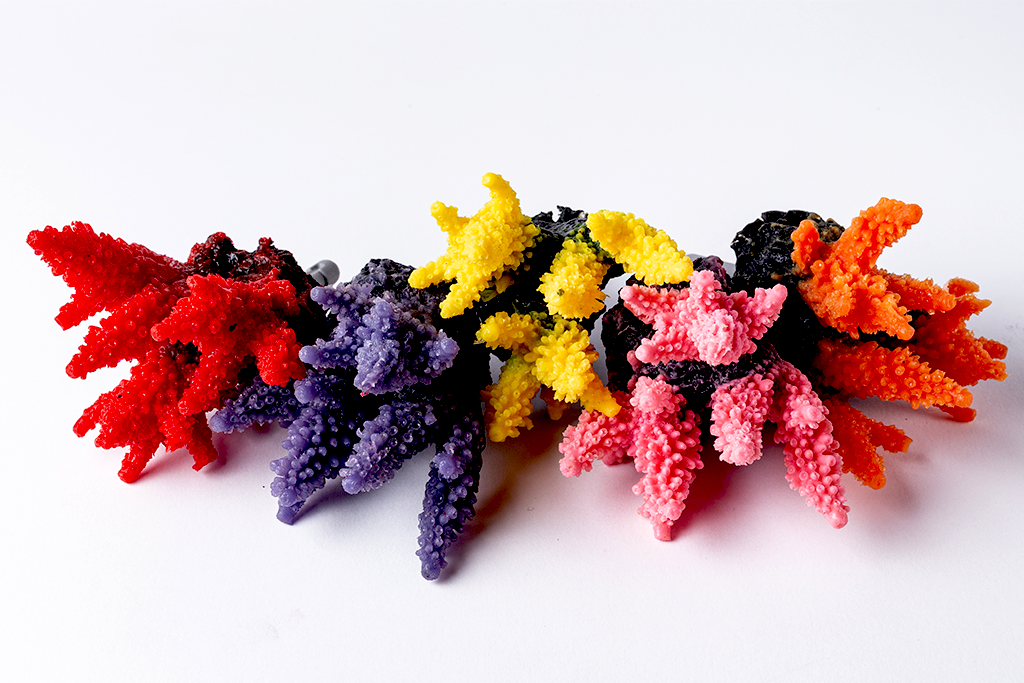 Artificial Acropora Secale