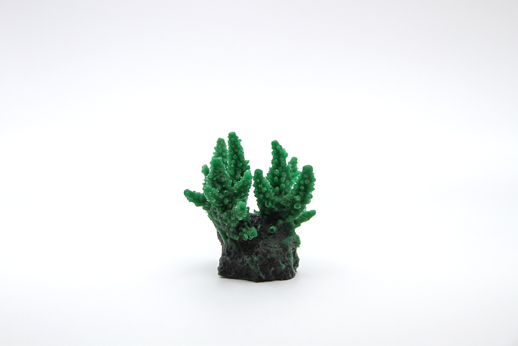 Artificial Acropora Secale