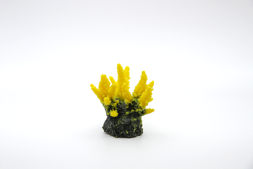 Artificial Acropora Secale