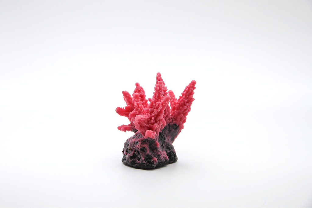 Artificial Acropora Secale