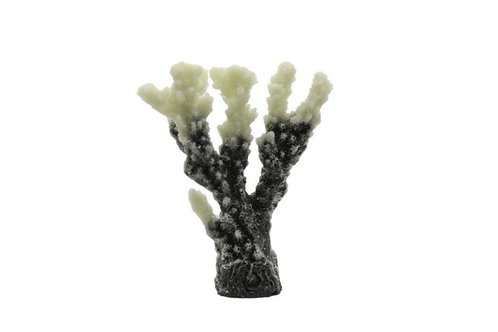 Artificial Acropora SP
