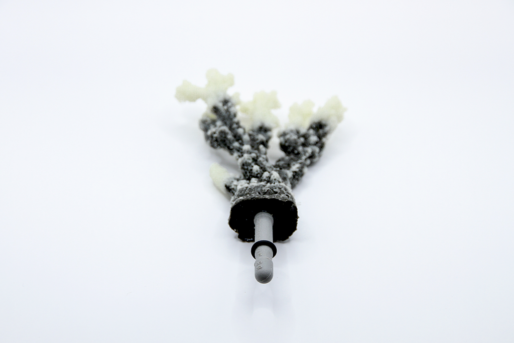Artificial Acropora SP