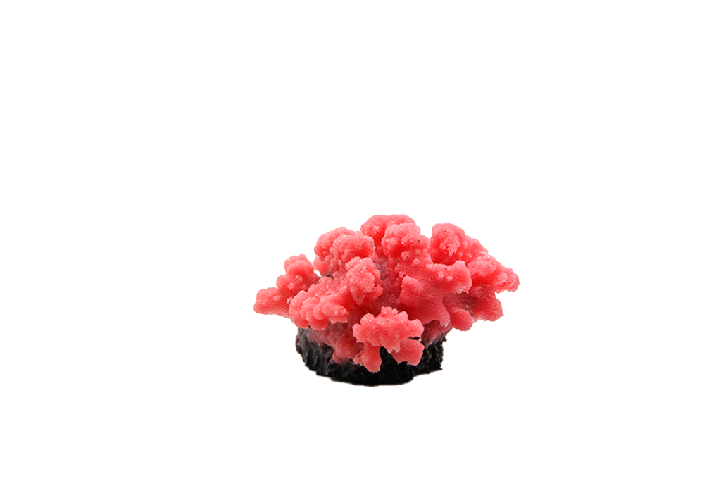 Artificial Stylopora coral