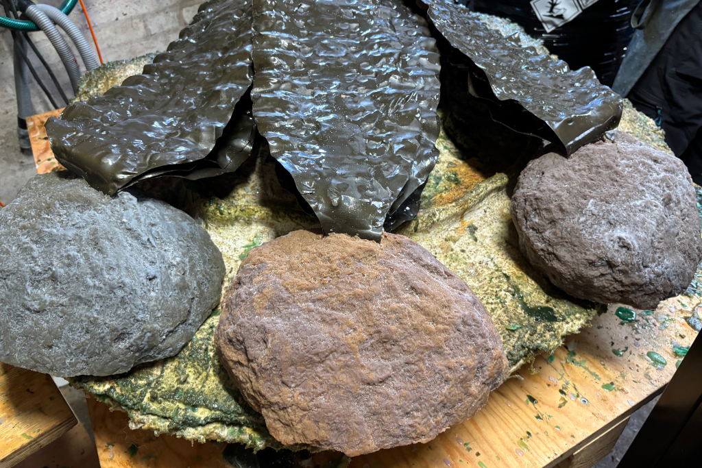 Dolphin proof Laminaria