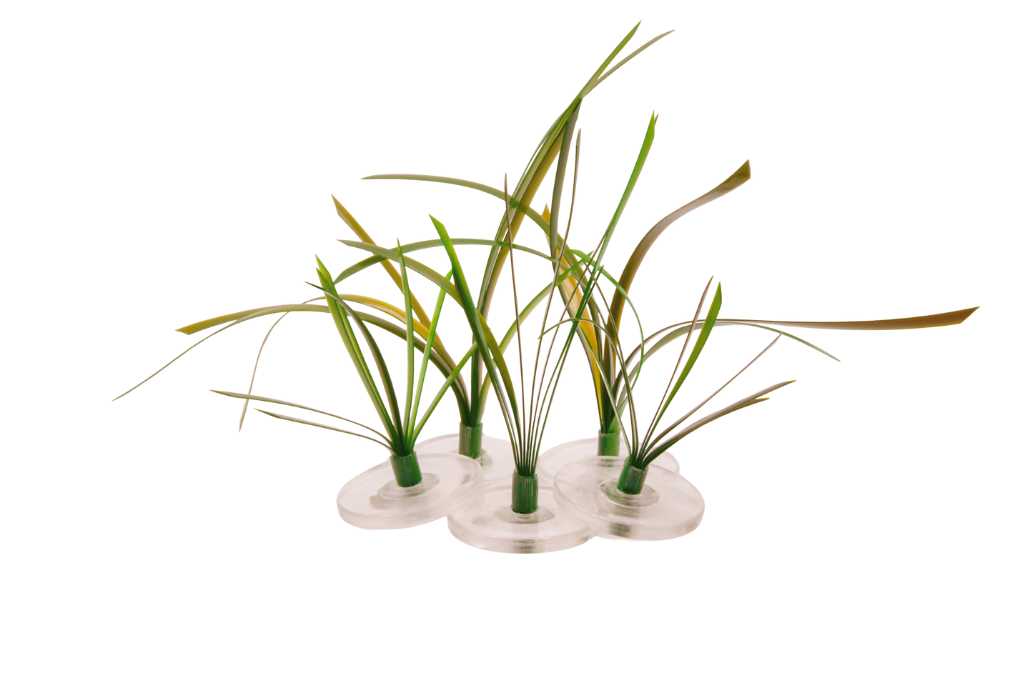 Eelgrass Small Mix