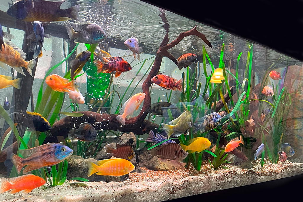 Artificial Vallisneria