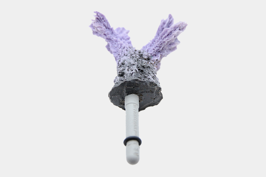 Artificial Hydnopora