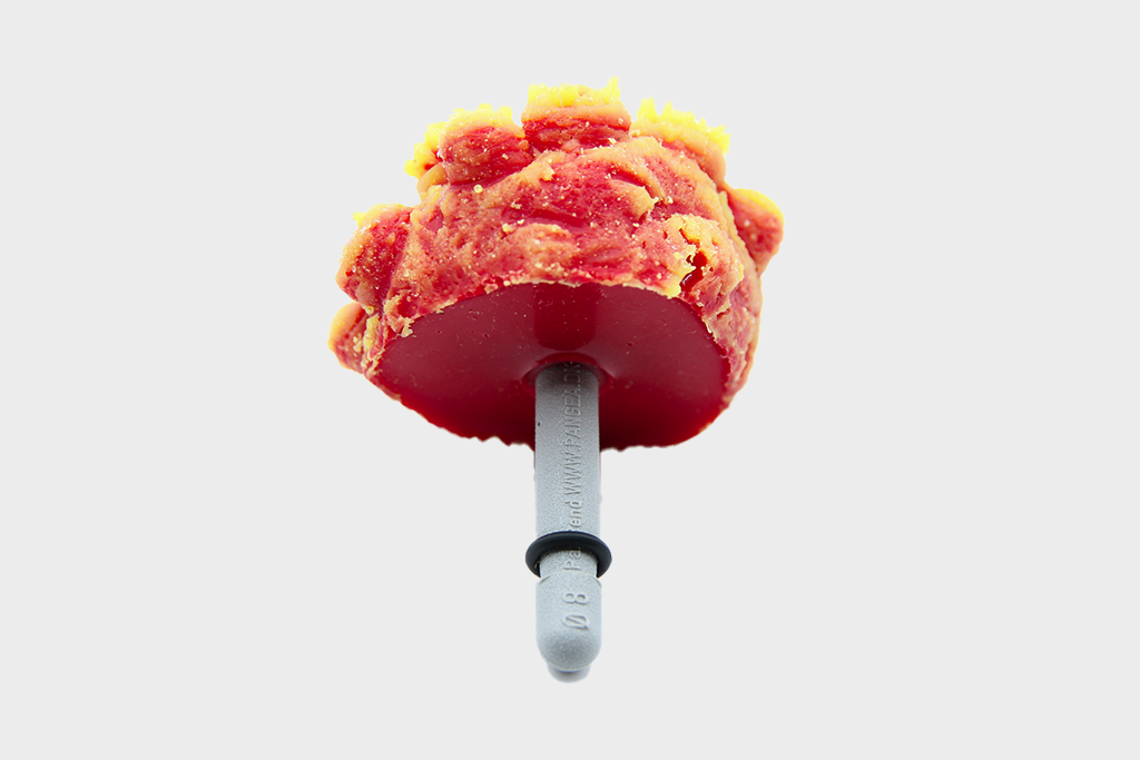 artificial Tubastrea Faulkneri