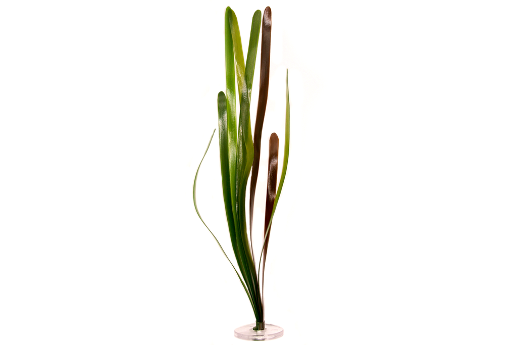 Artificial Vallisneria