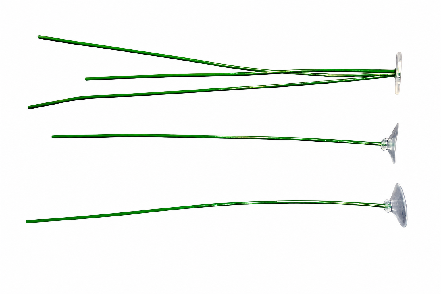 Water lily stems