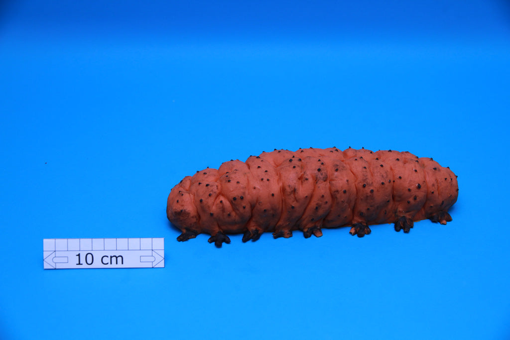 Artificial Isostichopus badionotus