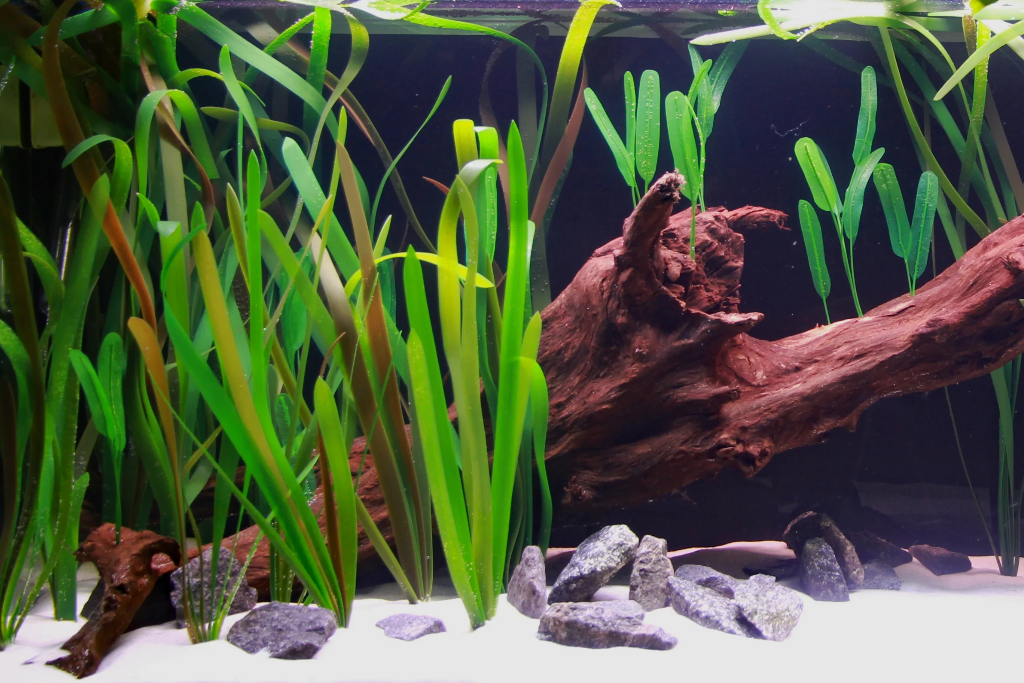 Artificial Vallisneria Gigantea