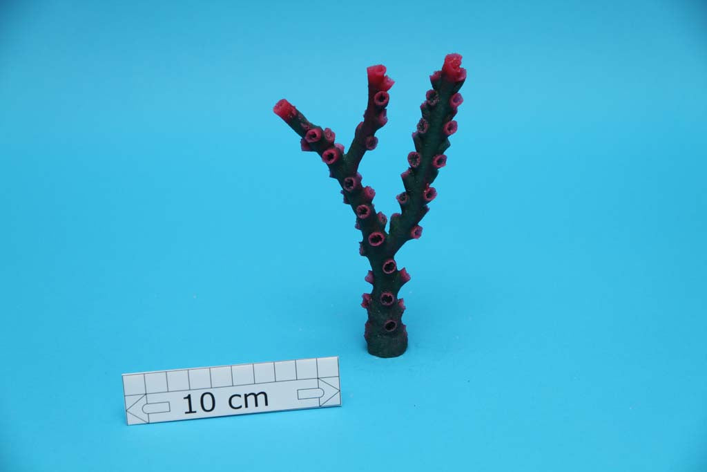 Artificial Tubastraea Micrantha