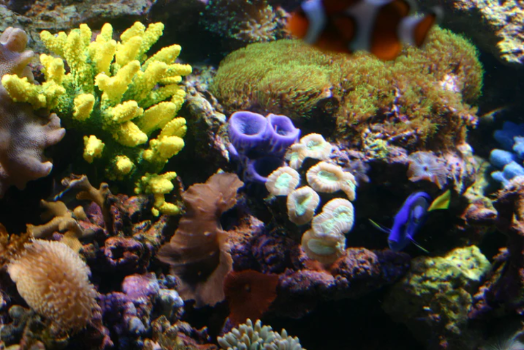 Artificial vase in aquarium