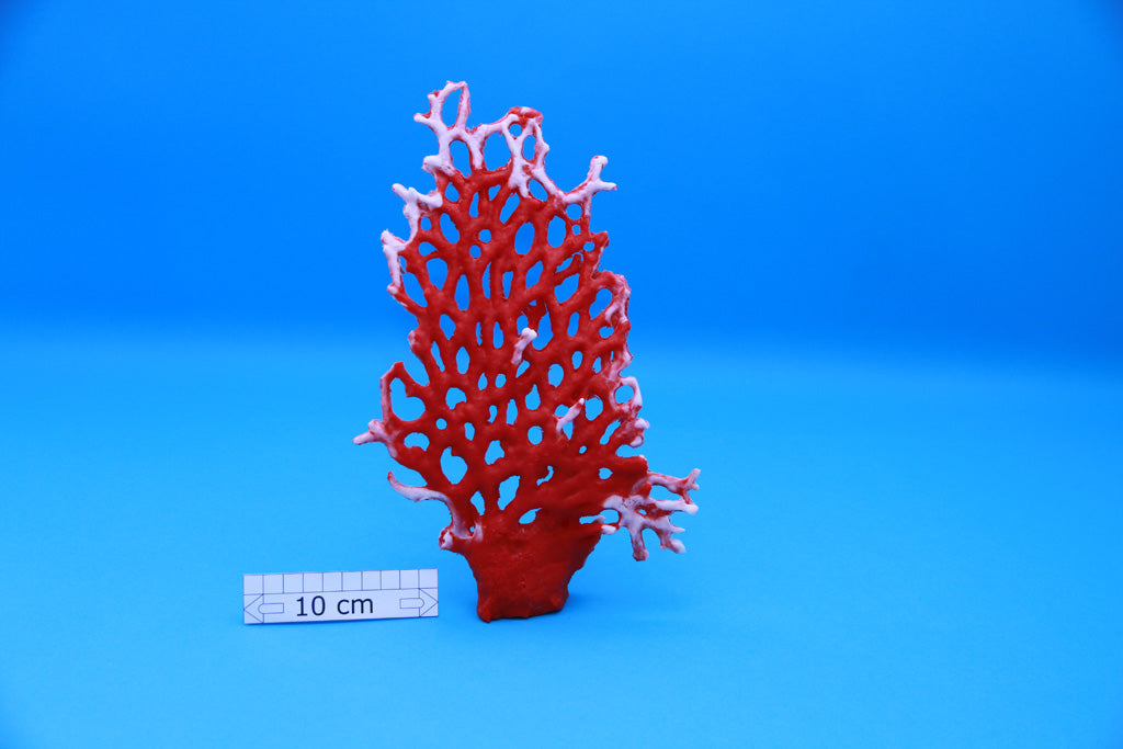 Artificial Millepora