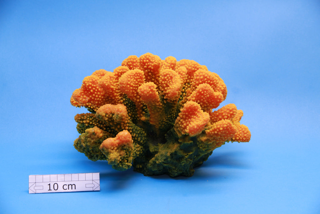 Artificial Stylophora