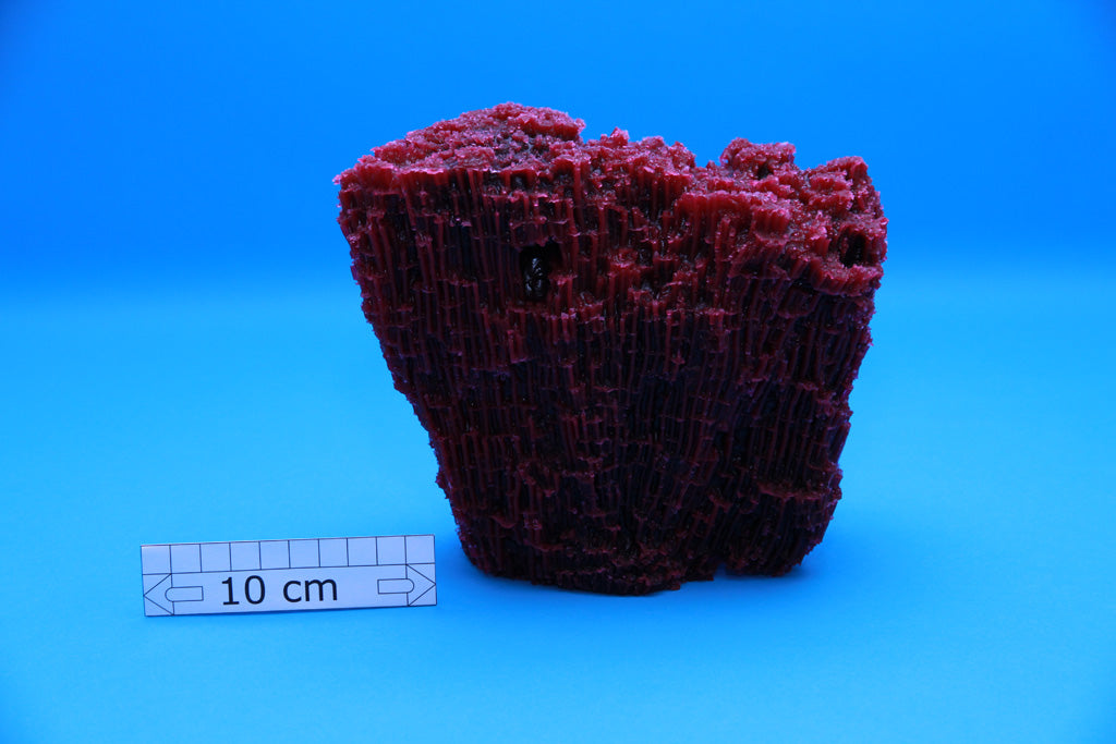 Artificial Tubipora Musica