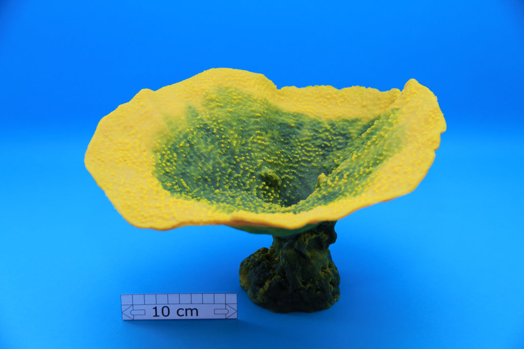 Artificial Turbinaria Mesenterina