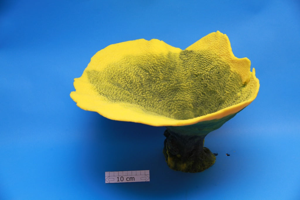 Artificial Turbinaria Mesenterina