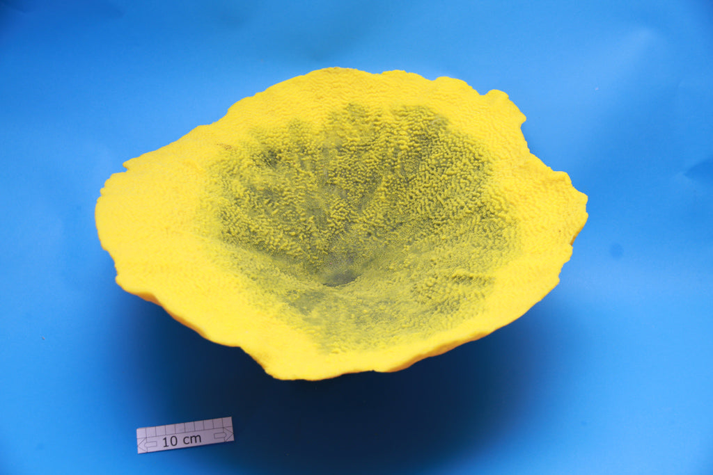 Artificial Turbinaria Mesenterina
