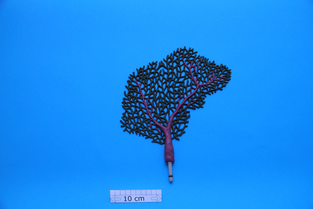 Artificial Gorgonia